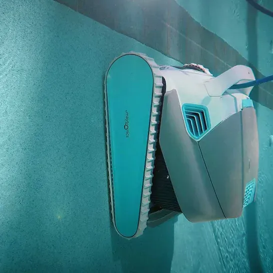 Dolphin-Active-30 (2).webp