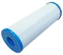 Waterway Teleweir 50sqft Filter